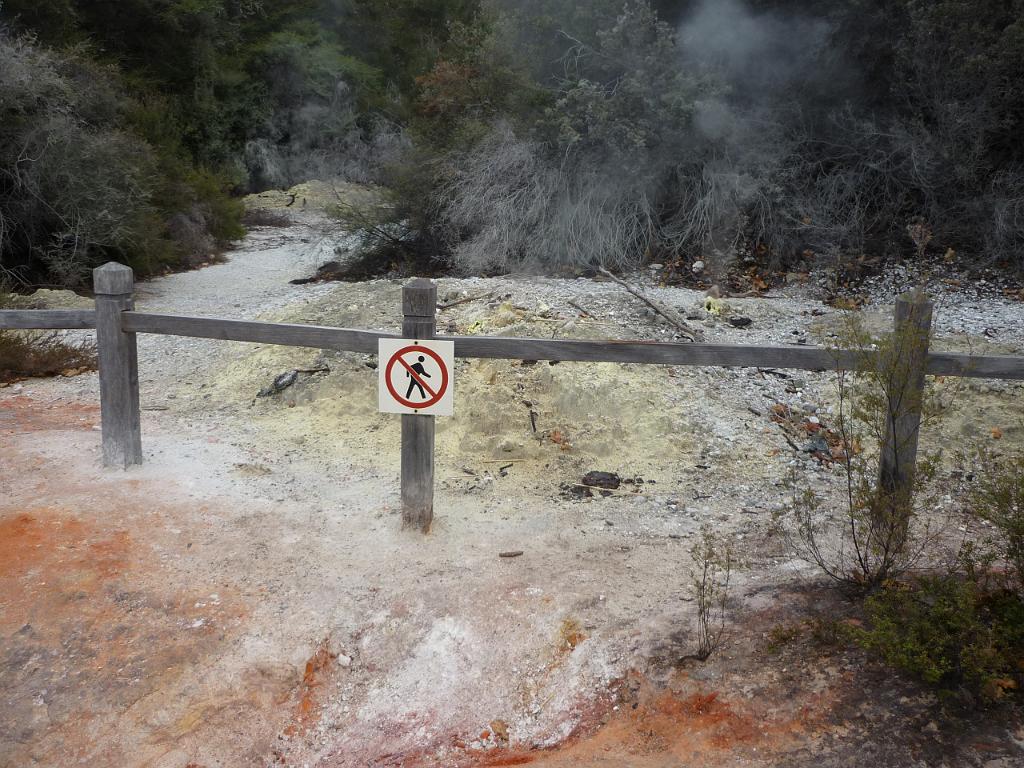 New_Zealand (907).JPG
